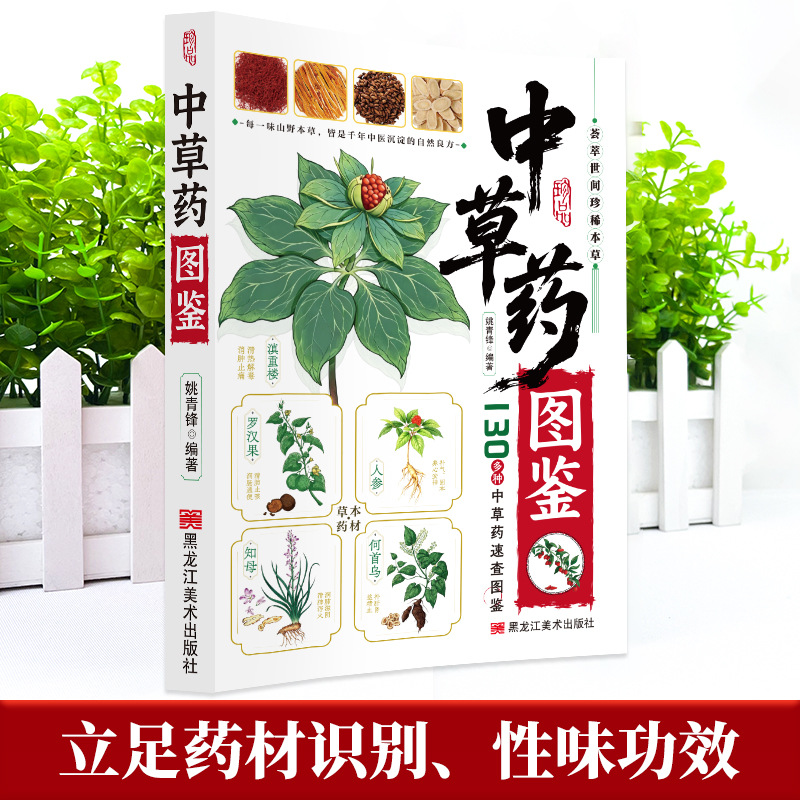 Guía Ilustrada de Medicina Her - Wellness Herbal Medicine reseña y precio
