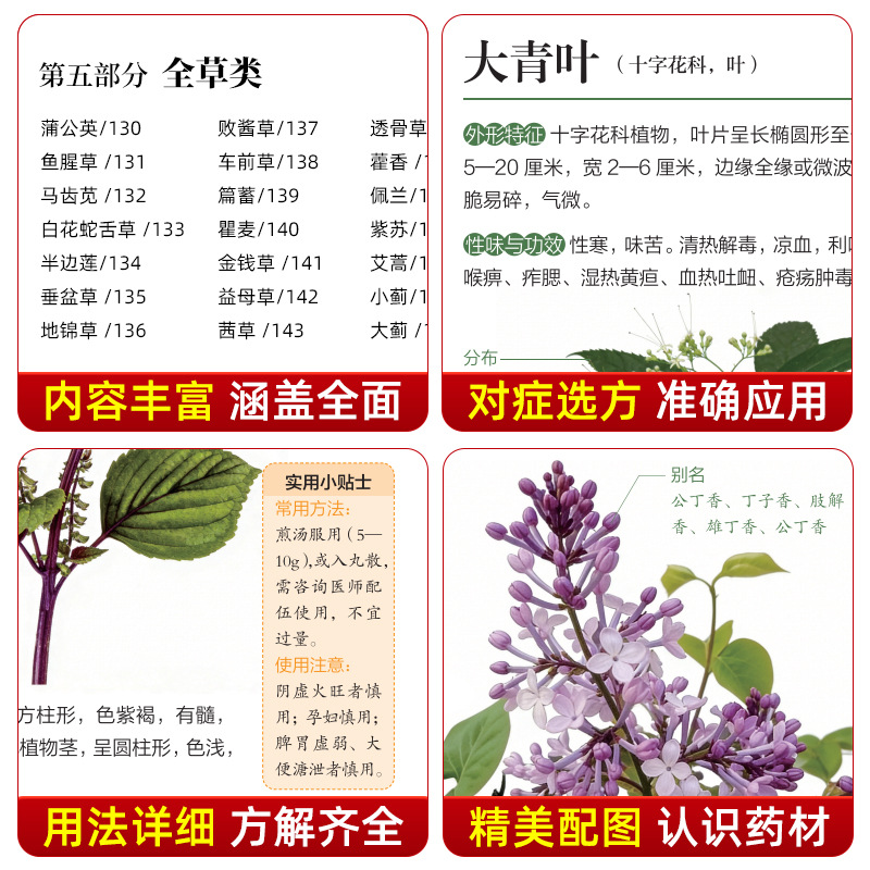 Guía Ilustrada de Medicina Her - Wellness Herbal Medicine reseña y precio